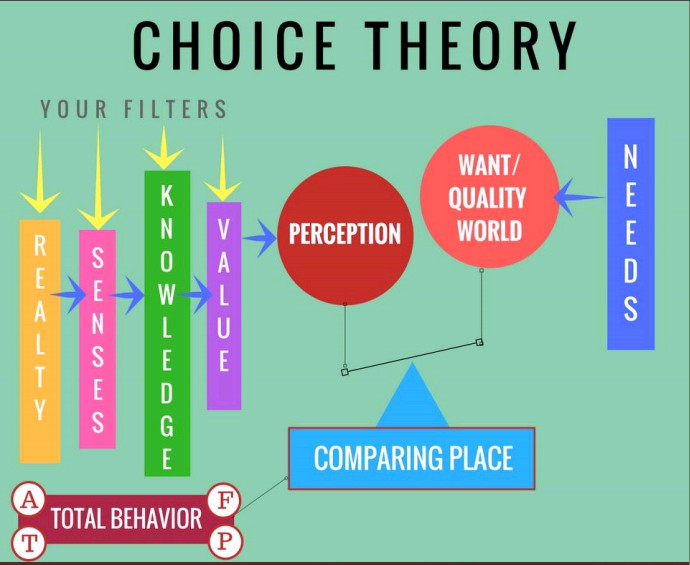 تئوری انتخاب چیست و چگونه کار می کند